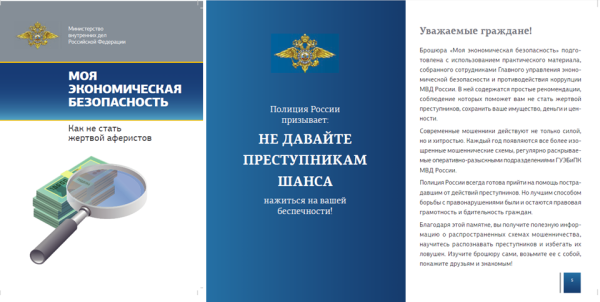 Брошюра по экономической безопасности